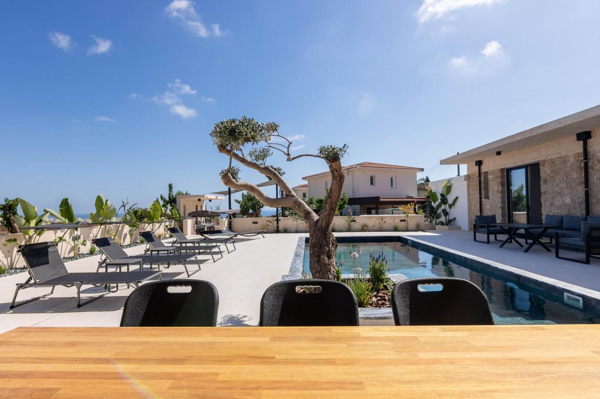Phaedrus Living Olive Grove Luxury Villa Paphos Kültér fotó